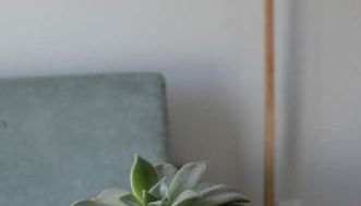 Cantinho do Pópulo - Photo 4