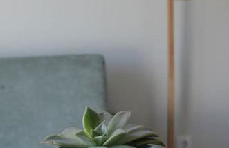 Cantinho do Pópulo - Photo 4