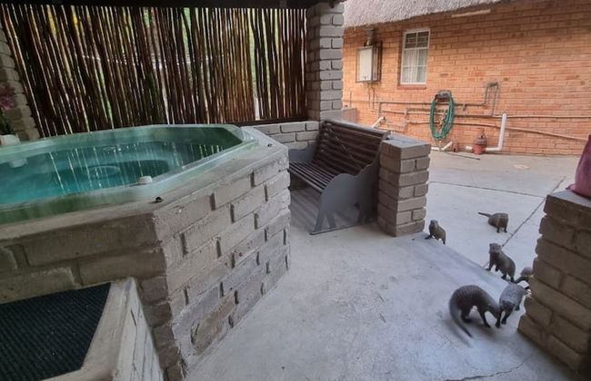 Klein Huisie Little House Self Catering Africa Bush Vacation In Marloth Park - Foto 16