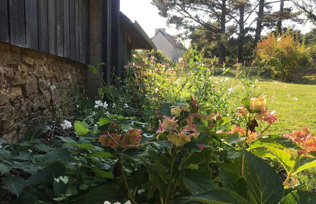 Les gites d'Hellen 2 - Foto 24