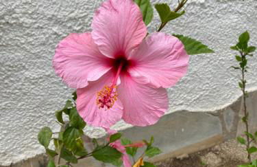 VILLA CATALUNYA - Photo 21