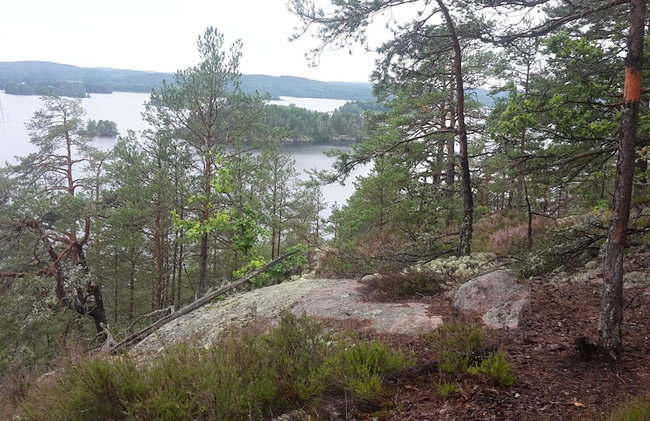 4 Person Holiday Home in Horn - Foto 17