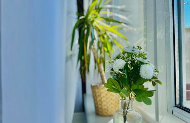 Apartament Zielone Serce Miasta - Foto 24