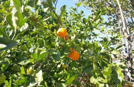 House & Private Pool, Fast Wifi, Great Location! - Foto 15