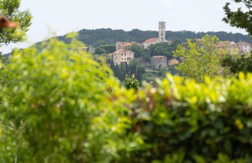 Casa Sara and Sasha near Motovun with private pool - pet friendly truffle paradise - Foto 13