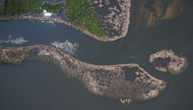 Tour en kayak por los humedales de Imbé - Foto 4