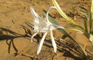 sun and sea 1 - Foto 27