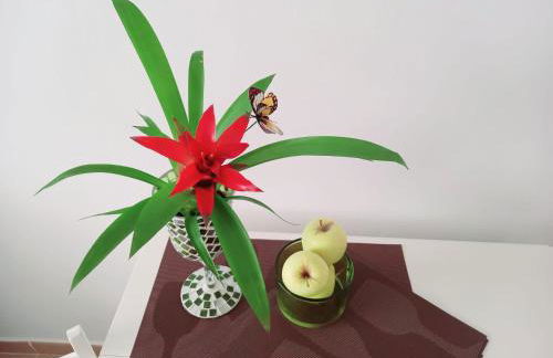 Casablanca - Foto 18