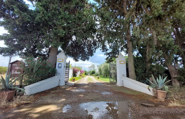 Agriturismo La Stornara - Foto 58