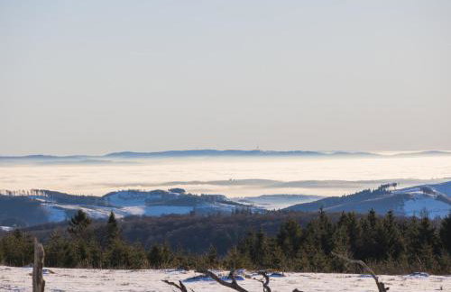 Appartement Mountain Escape 66 - Comfort & Uitzicht | Am Bergelchen 66 Niedersfeld Winterberg - Foto 55