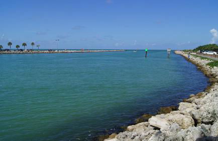 Spacious Upadated 2 King Beds Pets Welcome With Large Private and Fenced Yard Minutes to Beaches - Foto 45