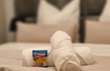 Design-Apartment in Rüttenscheid, Kulturlage & Top-Anbindung - Foto 8