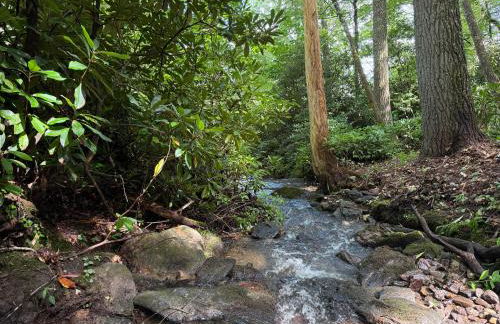 Tree Top Mountain Lodge - Photo 66