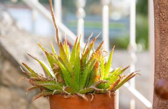 Apartment One - Foto 56