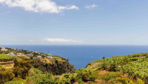 House - sleeps 3 free parking garden & jacuzzi - Photo 4