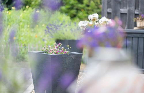 Ferienwohnung Landleben 35195 - Foto 14