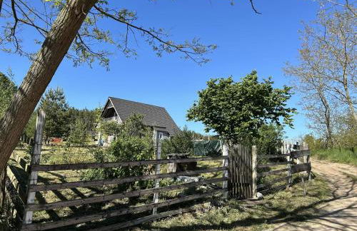 Holzhaus am Waldrand - Foto 4