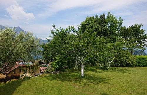 Villa Primula - Foto 55