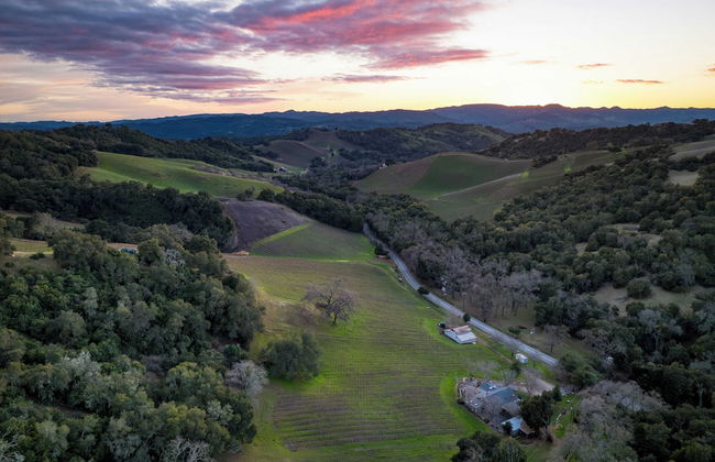 Luxury Wine Country Haven + Vineyard Views Near Top Wineries Adelaida Farmhouse - Foto 42