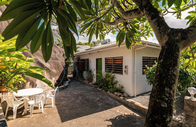 Beau Bamboo - Foto 77