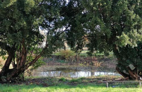 Pałac Paprotno - Foto 59