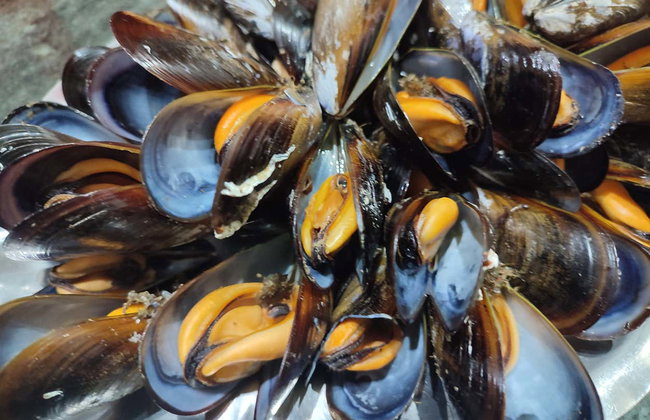 Paseo en barco por la ría + Degustación de mejillones - Foto 6
