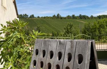 Au pied du vignoble Champenois - Foto 9
