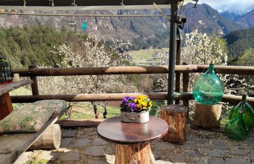 AGRITURISMO BORGO DAMOS - Foto 22