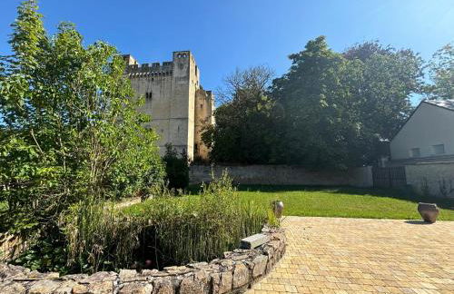 Charmante maison de ville avec vue sur le donjon avec wifi et jardin - Foto 34