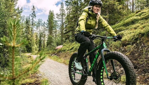 8 Person Holiday Home in Lofsdalen - Foto 3, Miscelánea