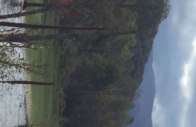 Mountain of Dreams At Lavista Cove - Foto 35