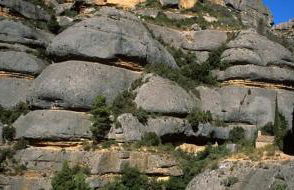 Pla del Castell II - Foto 24