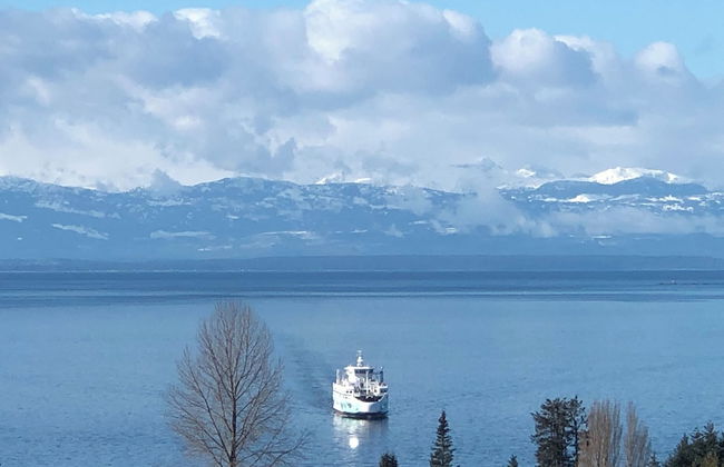 Downtown Private Villa within Four Seasons - Photo 18