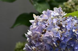 Appartamenti CIMA LASTE - Foto 22