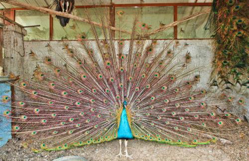 Agriturismo La Chiana - Foto 50