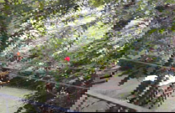 San Procopio - Foto 11