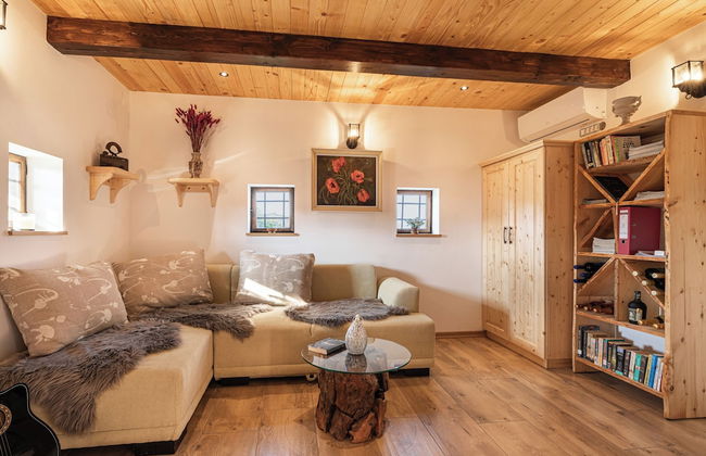 Vineyard Cottage Grajska Kasca - Foto 5