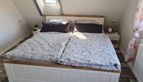 Carlos Hus - Photo 3