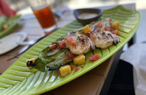 The Nautilus - Foto 48