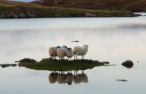 Little Minch - Foto 12