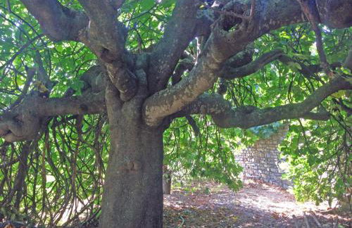 Casa Fabrizio - Foto 29