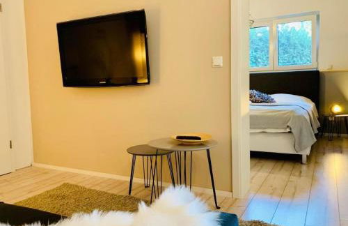 Apartment FeWo Oberwinter Bonn by Interhome - Foto 23