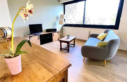 Villa le Menhir 4 Ch au Bord du Lac et Terrasse - Foto 20