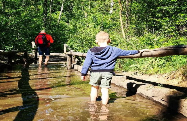 Vlaanderen Cozy Cottage - Foto 33