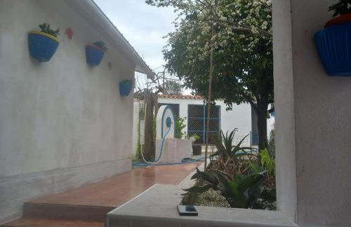 CASA DA ALDEIA - Ponte de Sor (Alentejo) - Foto 16