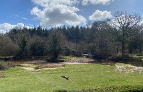 Lilypad A central location to explore the New Forest & South Coast - Foto 34