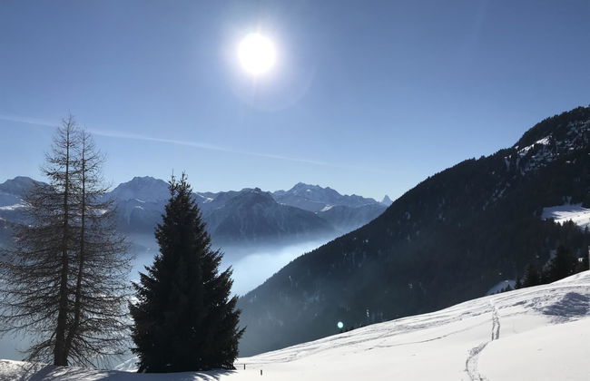 Almenrausch 1. OG Süd-Ost - Foto 8