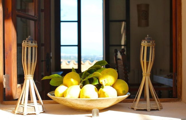 Holiday Country house Mallorca - Photo 19