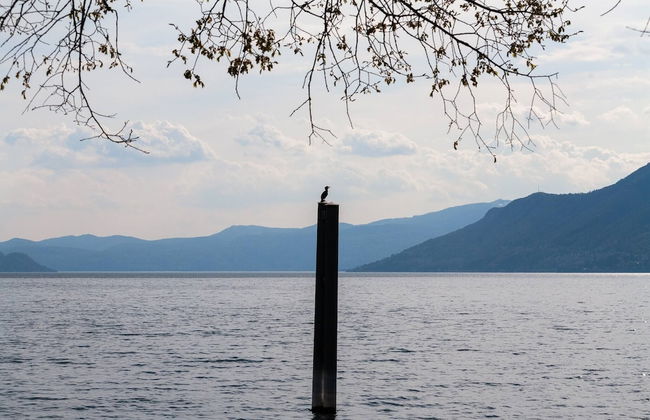 Casa Del Borgo "air & Water" - Photo 72