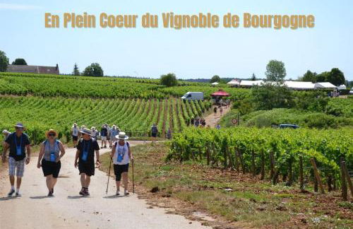 Eros des Vignes Appartement 60m2 - Foto 20